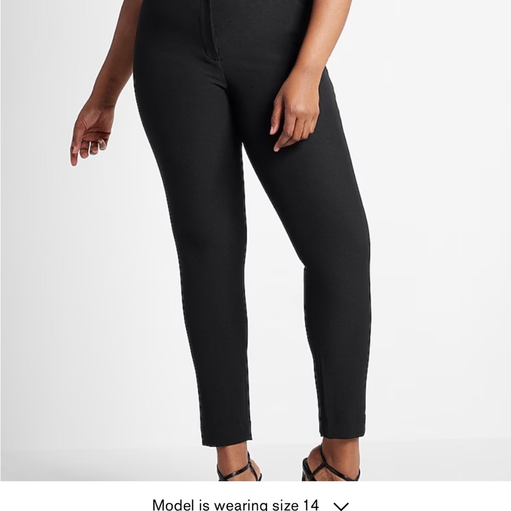 Express High Waisted Pants